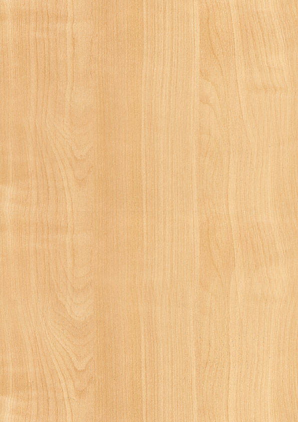 Y9289