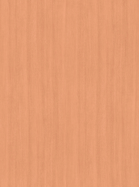 Y9291