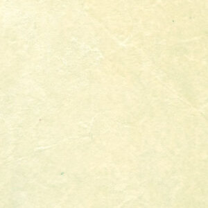 Y9519