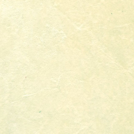 Y9519