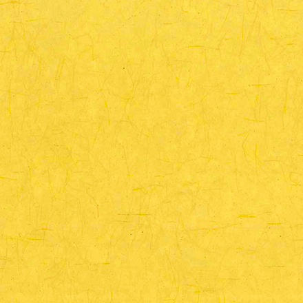 YB206
