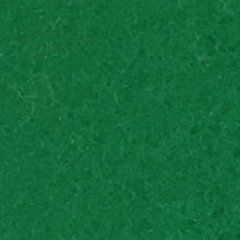 YN389