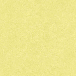 YP817-2