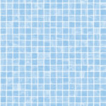 YSMC2081