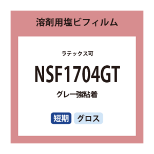 NSF1704GT