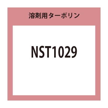 NST1029